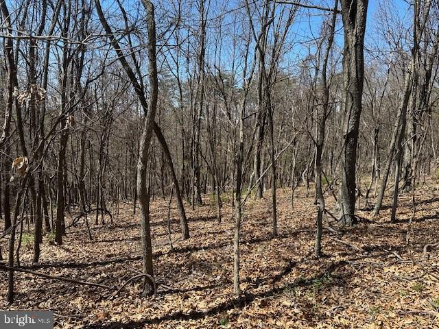 Lot 28 Pear Ln Property Photo 3