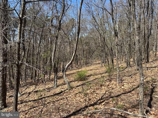 Lot 28 Pear Ln Property Photo 4