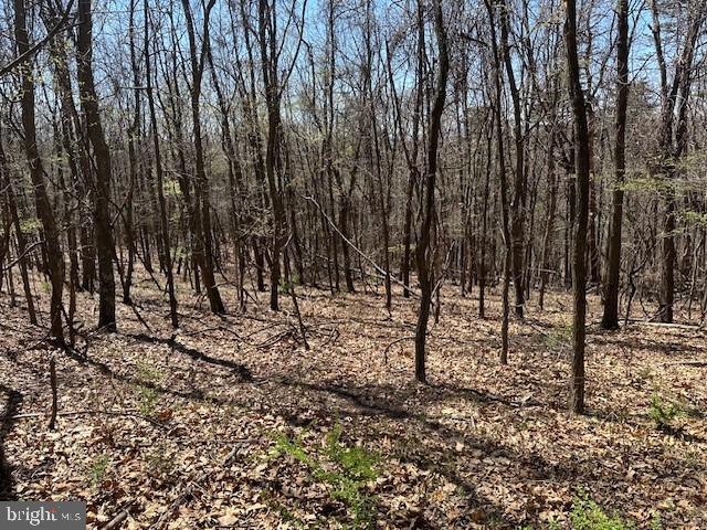 Lot 28 Pear Ln Property Photo 5