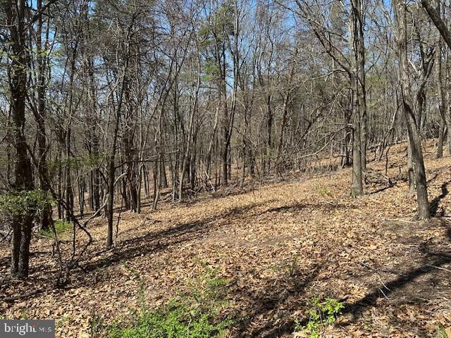 Lot 28 Pear Ln Property Photo 6