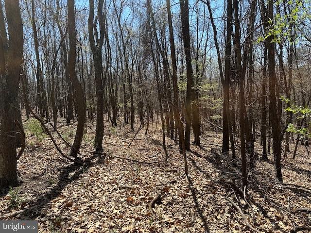 Lot 28 Pear Ln Property Photo 7