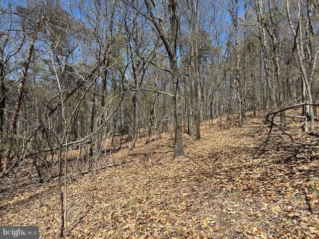 Lot 28 Pear Ln Property Photo 8