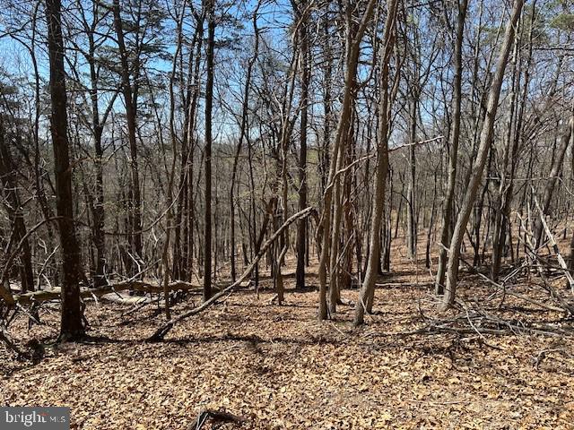 Lot 28 Pear Ln Property Photo 9
