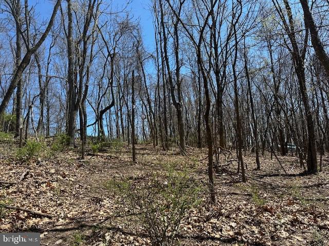 Lot 28 Pear Ln Property Photo 10