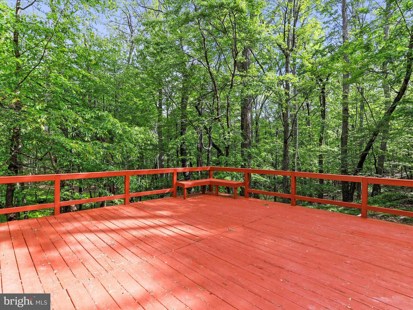 153 Bear Track Rd Property Photo 21