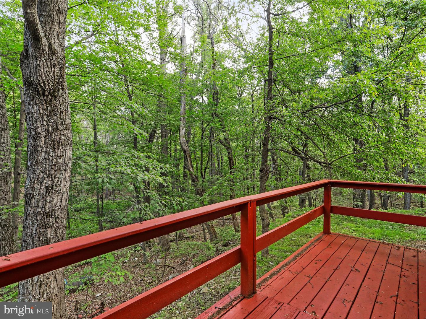 153 Bear Track Rd Property Photo 28