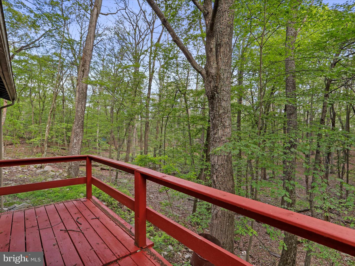 153 Bear Track Rd Property Photo 30