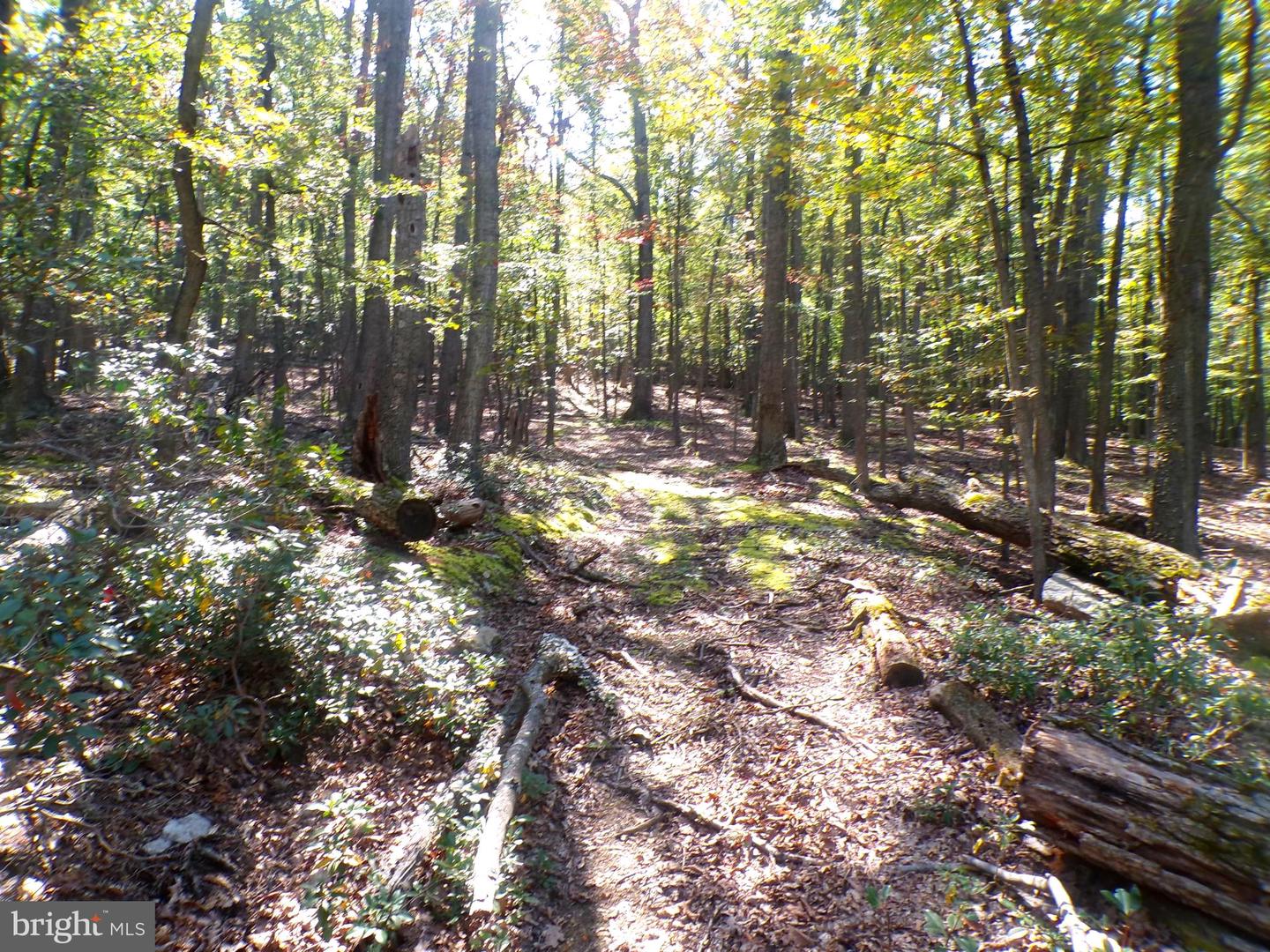Big Horn Trail #e-15 Property Photo 1