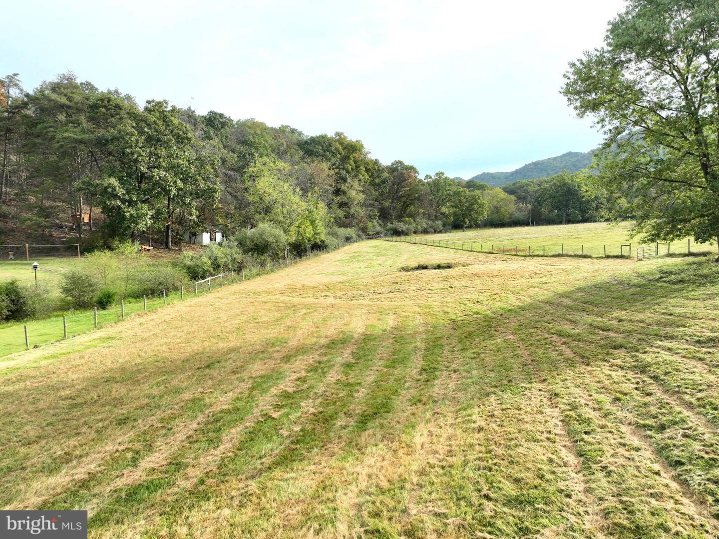 1.50 Ac Hickory Hill Rd Property Photo 7