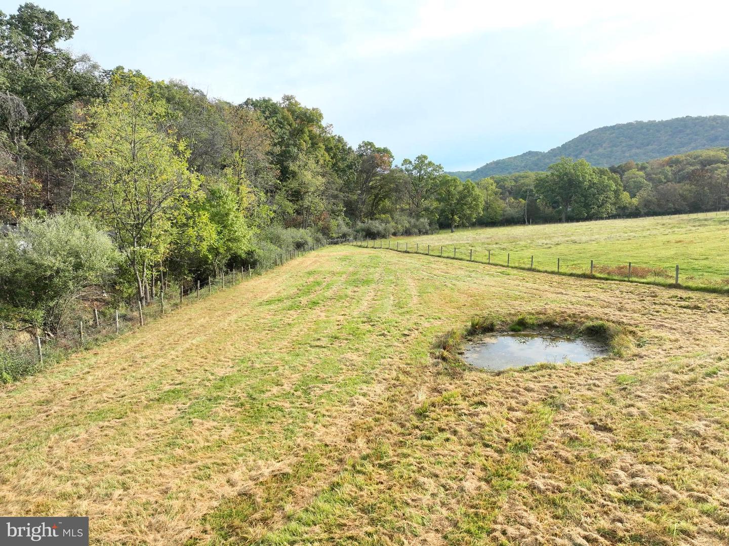 1.50 Ac Hickory Hill Rd Property Photo 8