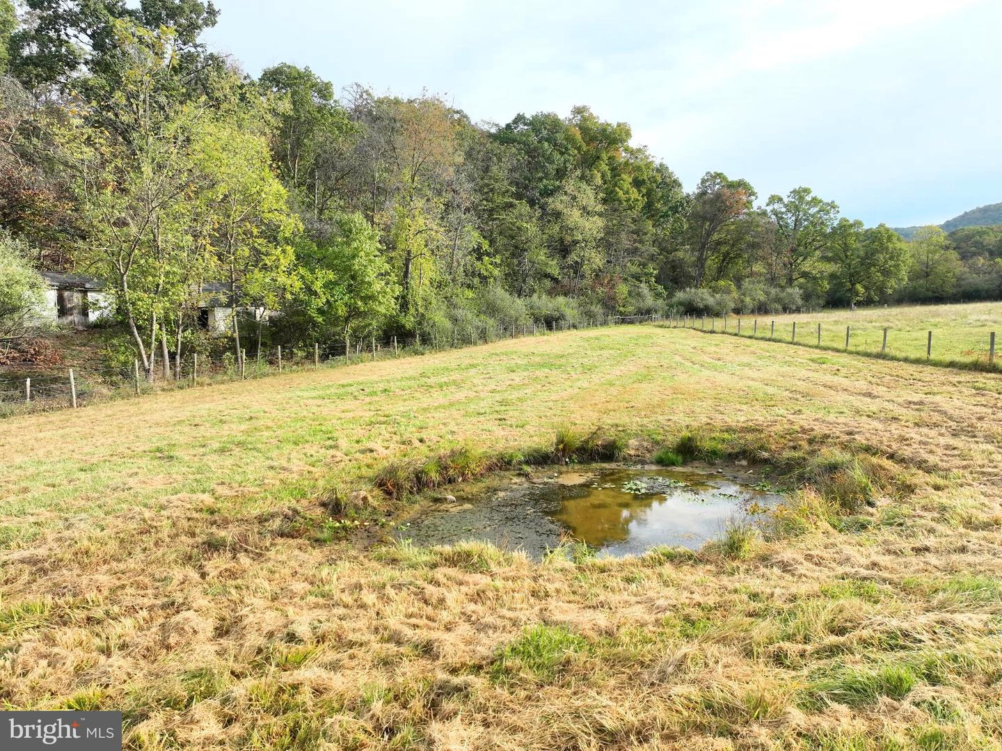 1.50 Ac Hickory Hill Rd Property Photo 9