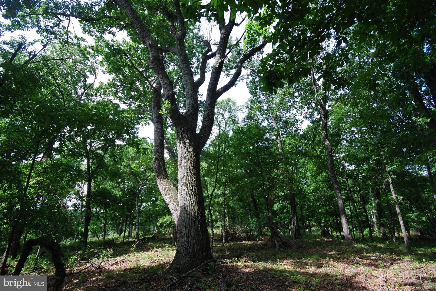 Lot 70 & 71 Mill Mountain Rd Property Photo 1