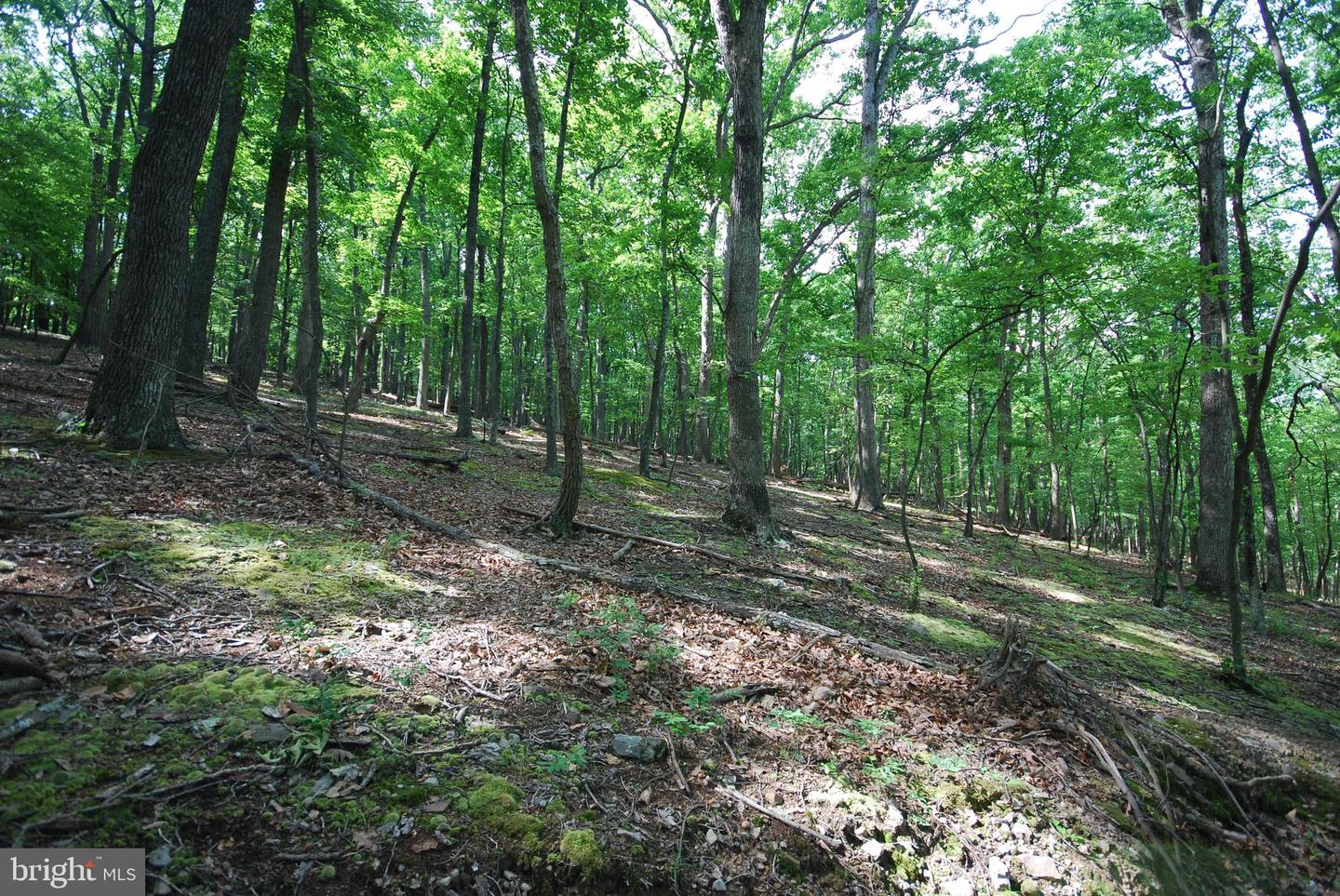 Lot 70 & 71 Mill Mountain Rd Property Photo 2