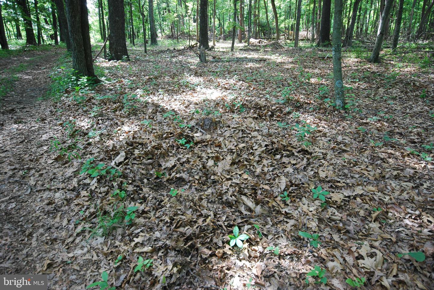 Lot 70 & 71 Mill Mountain Rd Property Photo 3