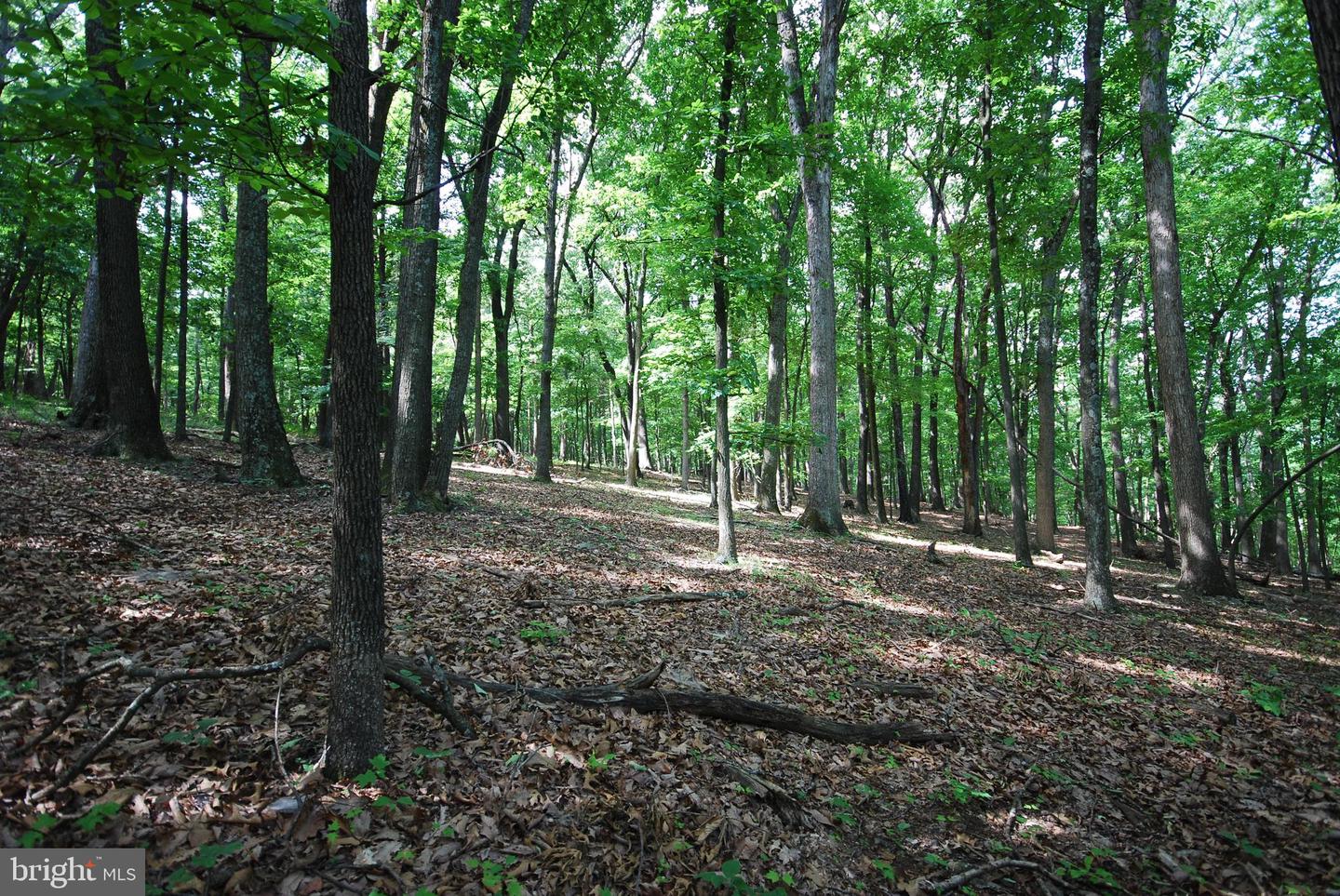 Lot 70 & 71 Mill Mountain Rd Property Photo 4