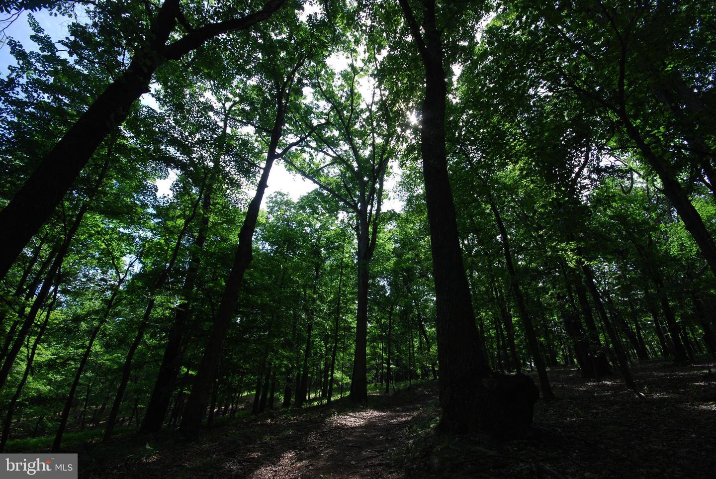 Lot 70 & 71 Mill Mountain Rd Property Photo 5