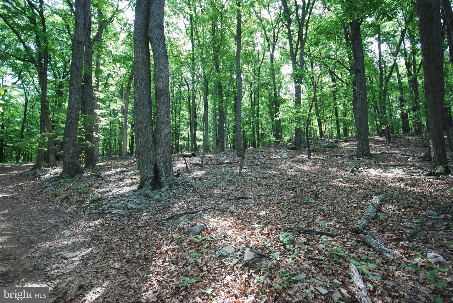 Lot 70 & 71 Mill Mountain Rd Property Photo 6