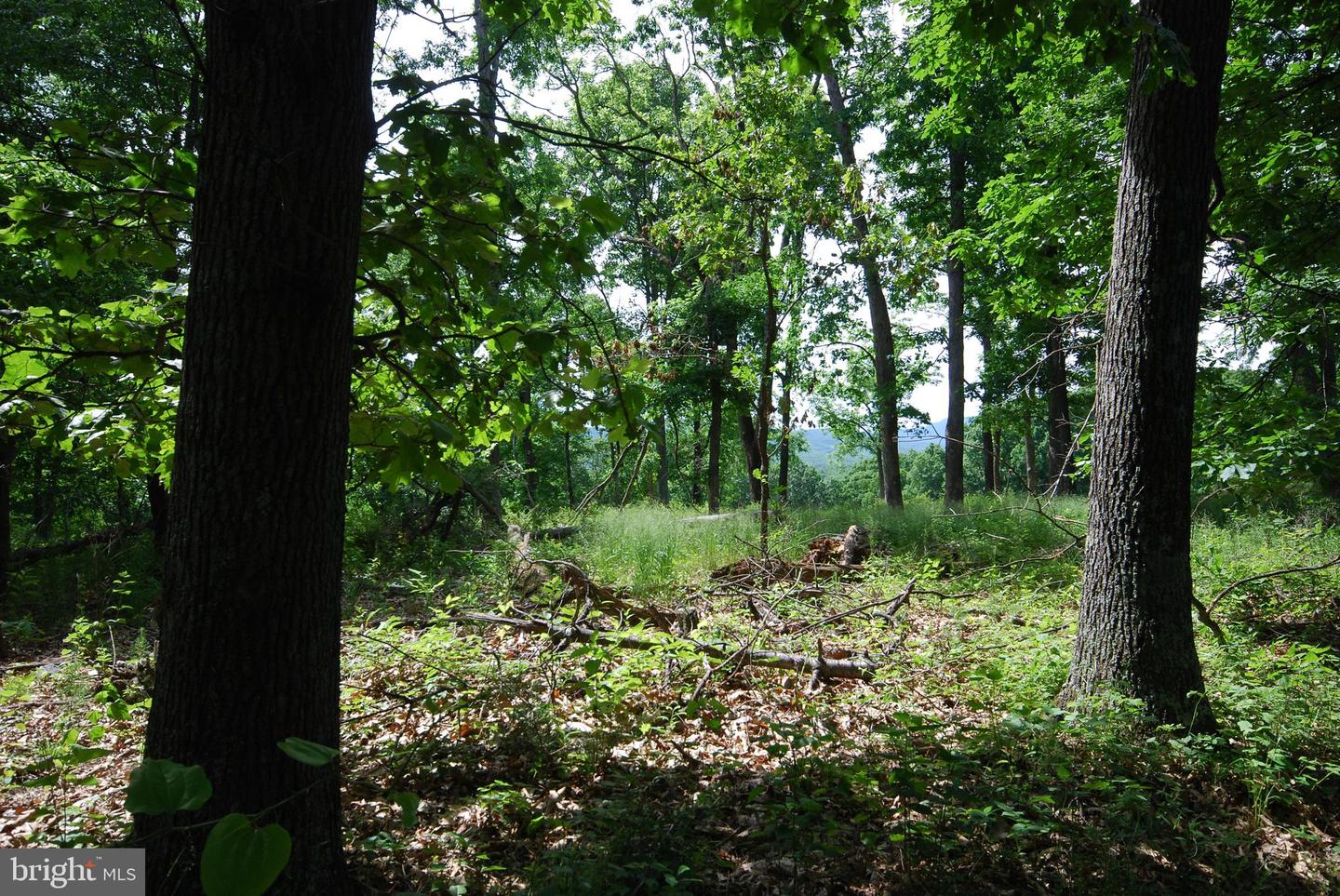 Lot 70 & 71 Mill Mountain Rd Property Photo 7