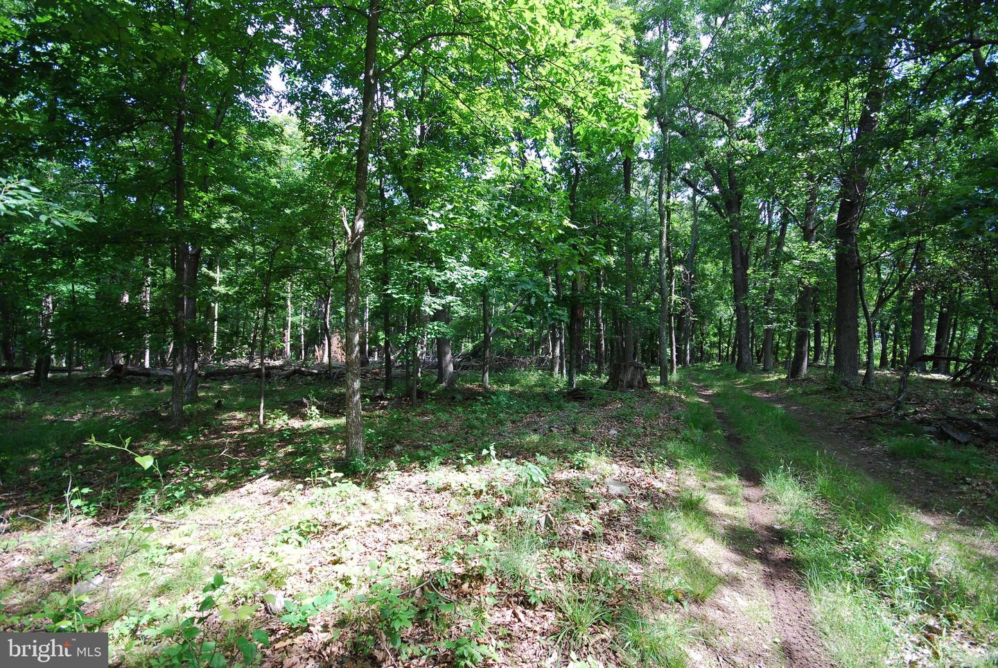 Lot 70 & 71 Mill Mountain Rd Property Photo 8