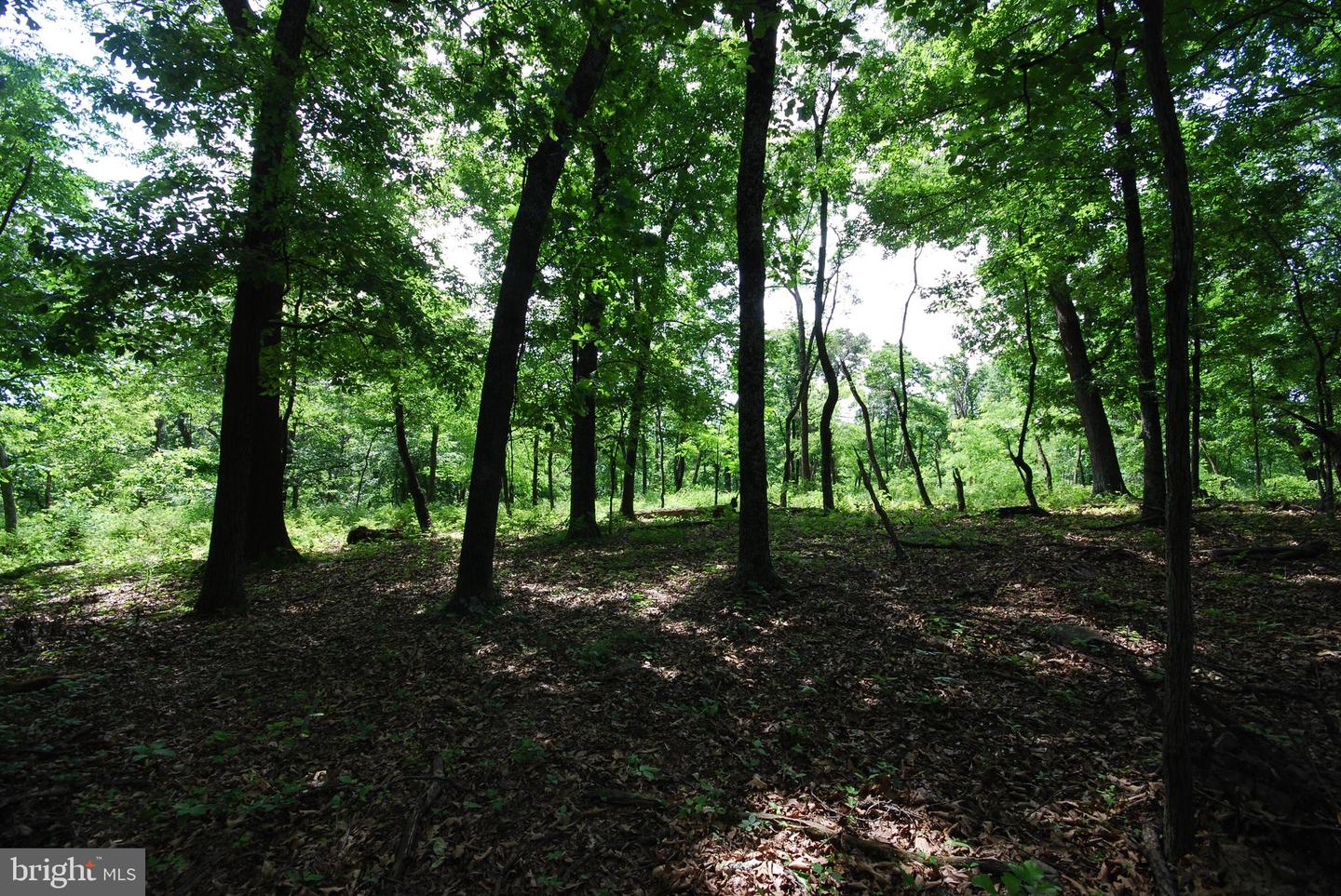 Lot 70 & 71 Mill Mountain Rd Property Photo 9