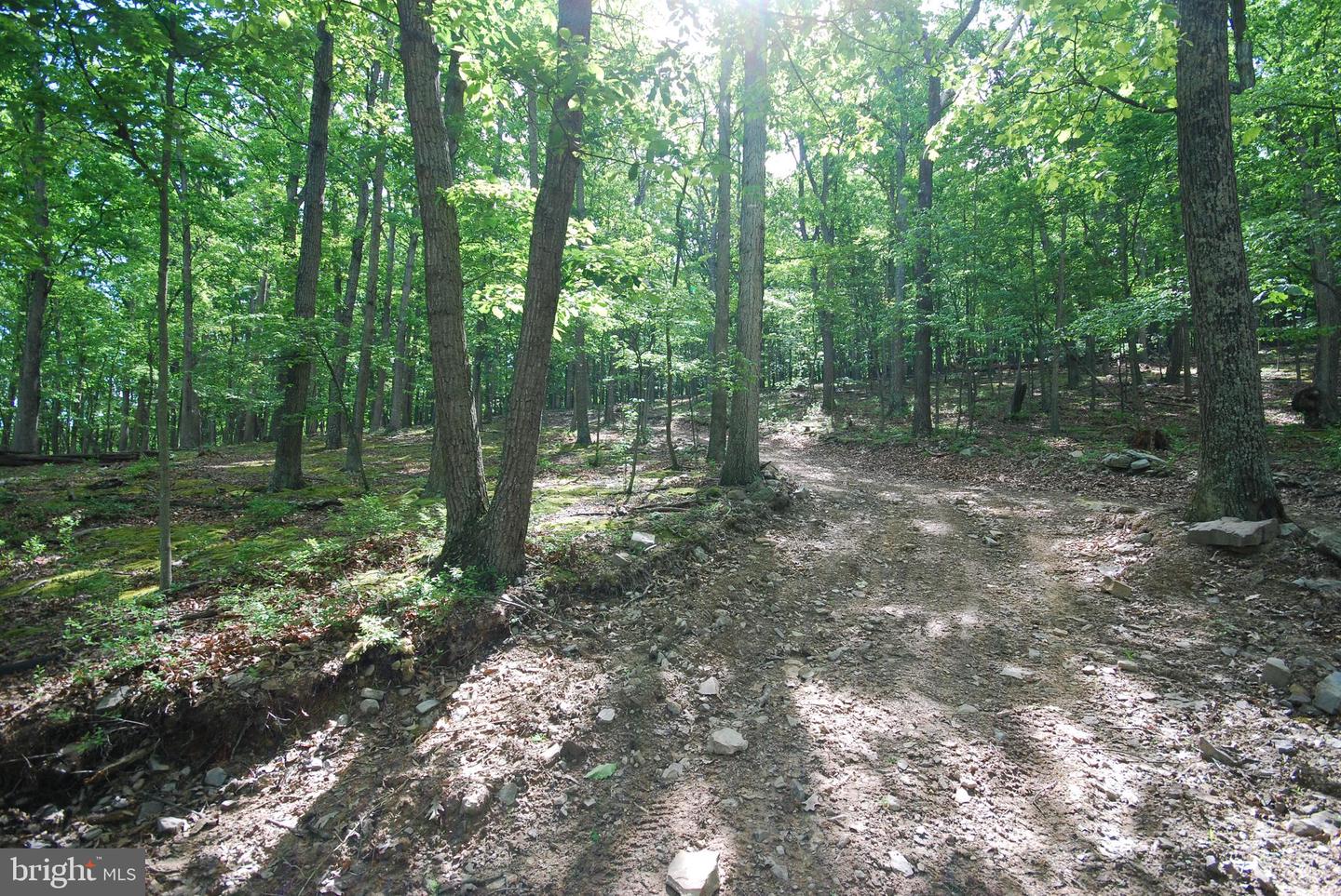 Lot 70 & 71 Mill Mountain Rd Property Photo 10