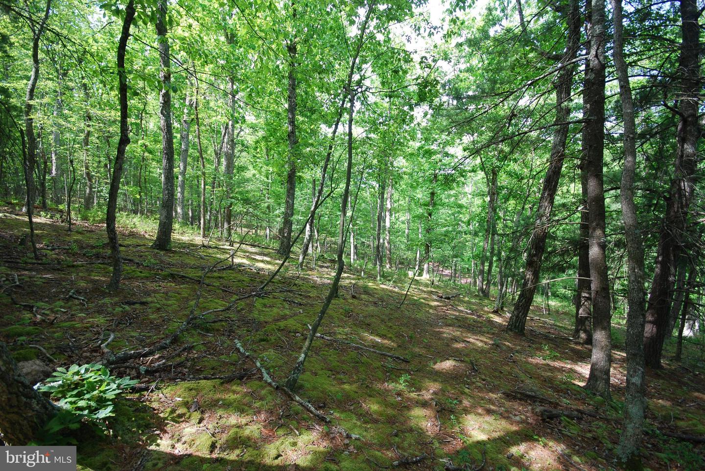 Lot 70 & 71 Mill Mountain Rd Property Photo 11