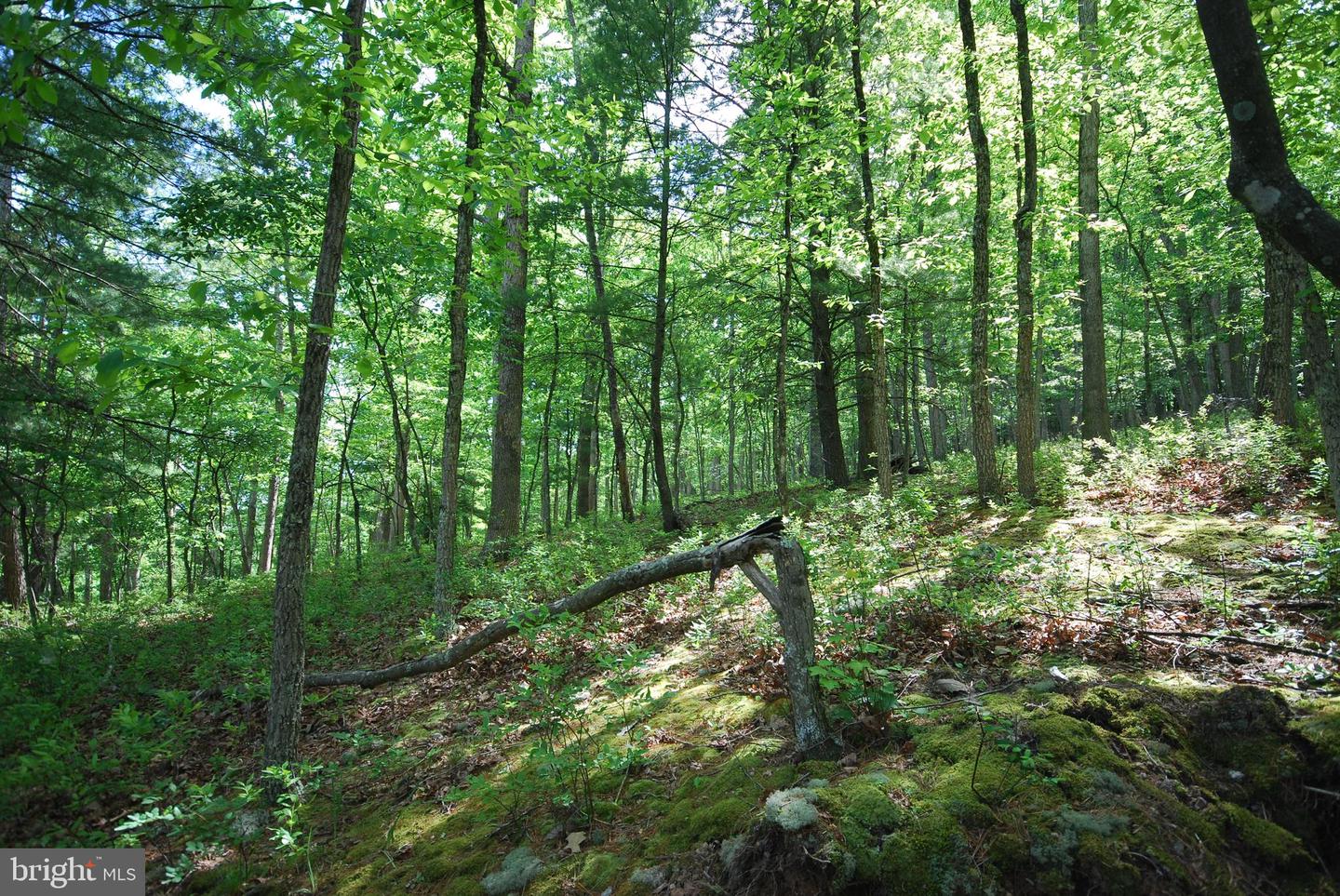 Lot 70 & 71 Mill Mountain Rd Property Photo 12