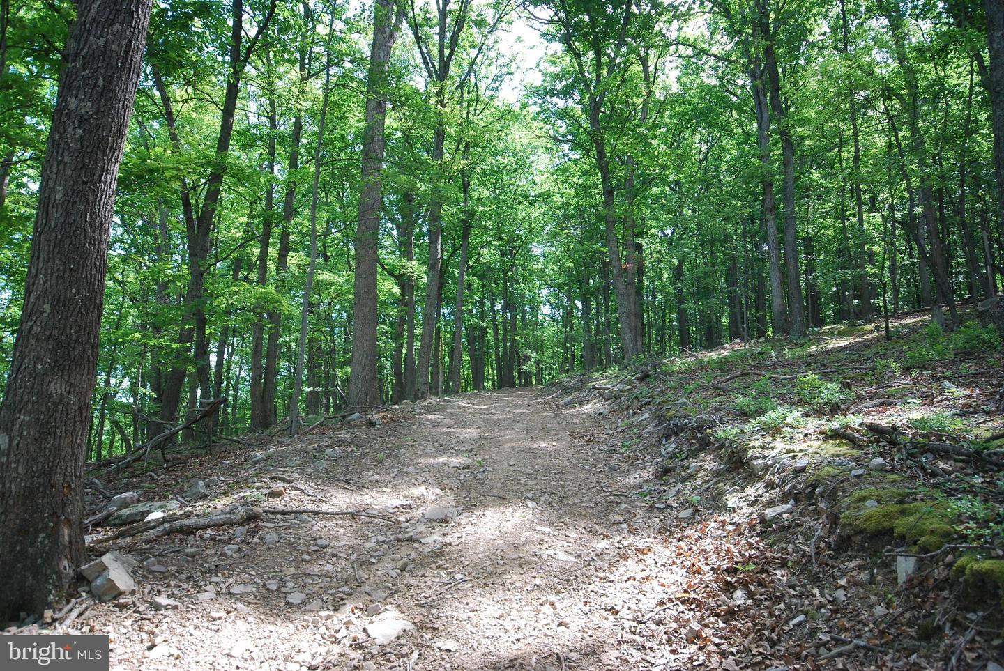 Lot 70 & 71 Mill Mountain Rd Property Photo 13