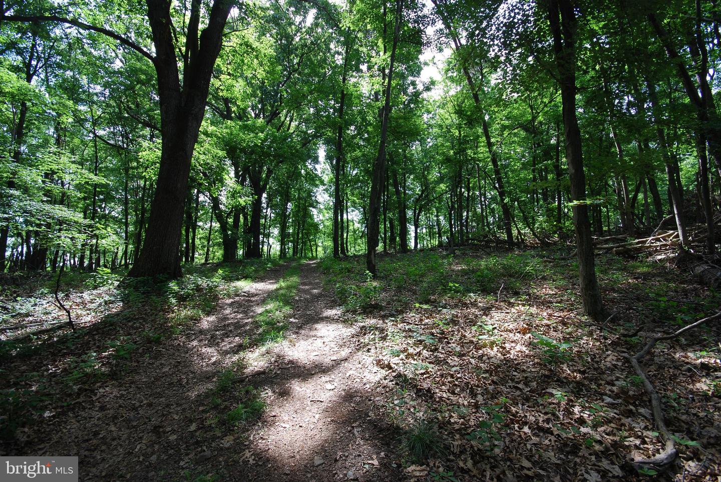 Lot 70 & 71 Mill Mountain Rd Property Photo 14