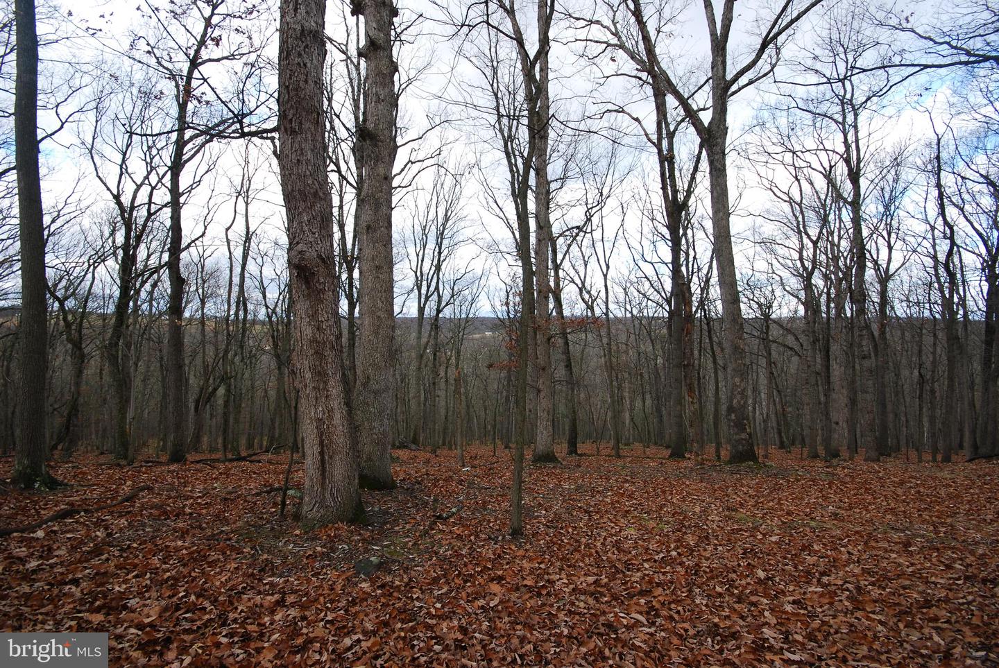 Lot 70 & 71 Mill Mountain Rd Property Photo 17