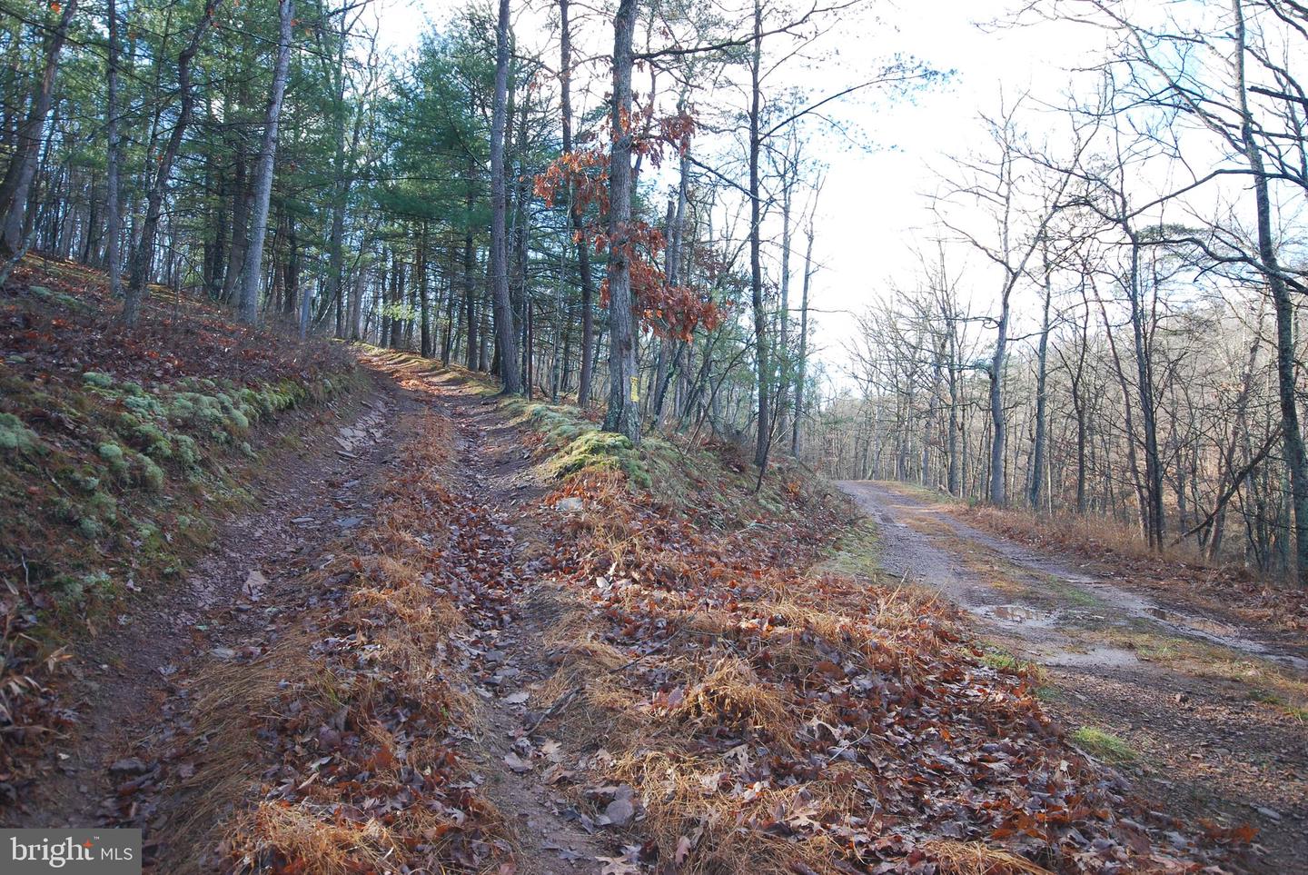 Lot 70 & 71 Mill Mountain Rd Property Photo 18