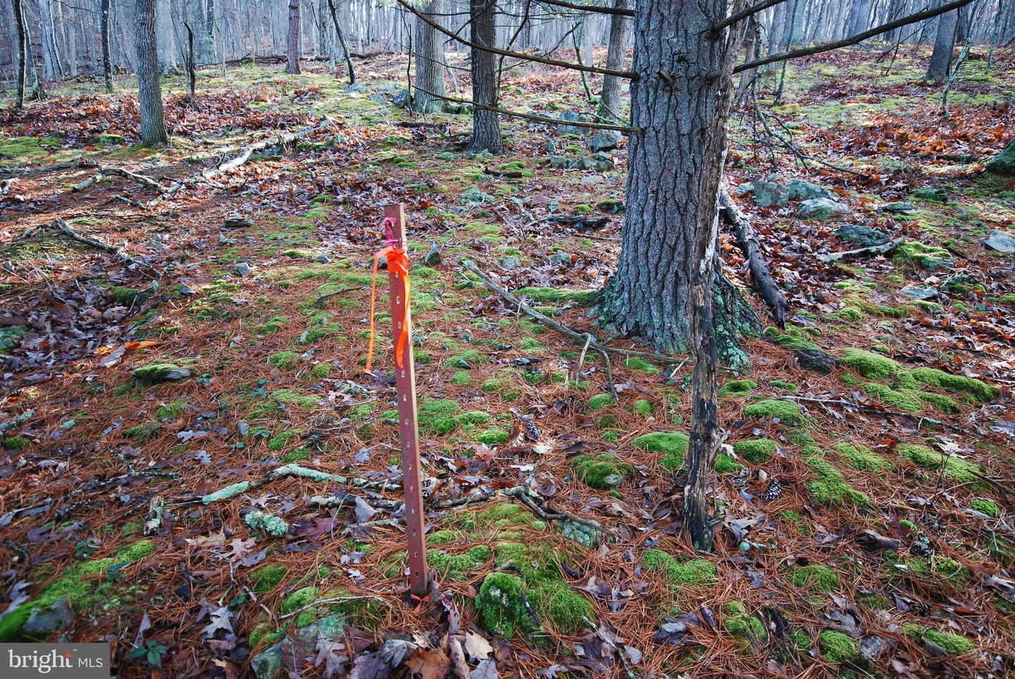 Lot 70 & 71 Mill Mountain Rd Property Photo 19