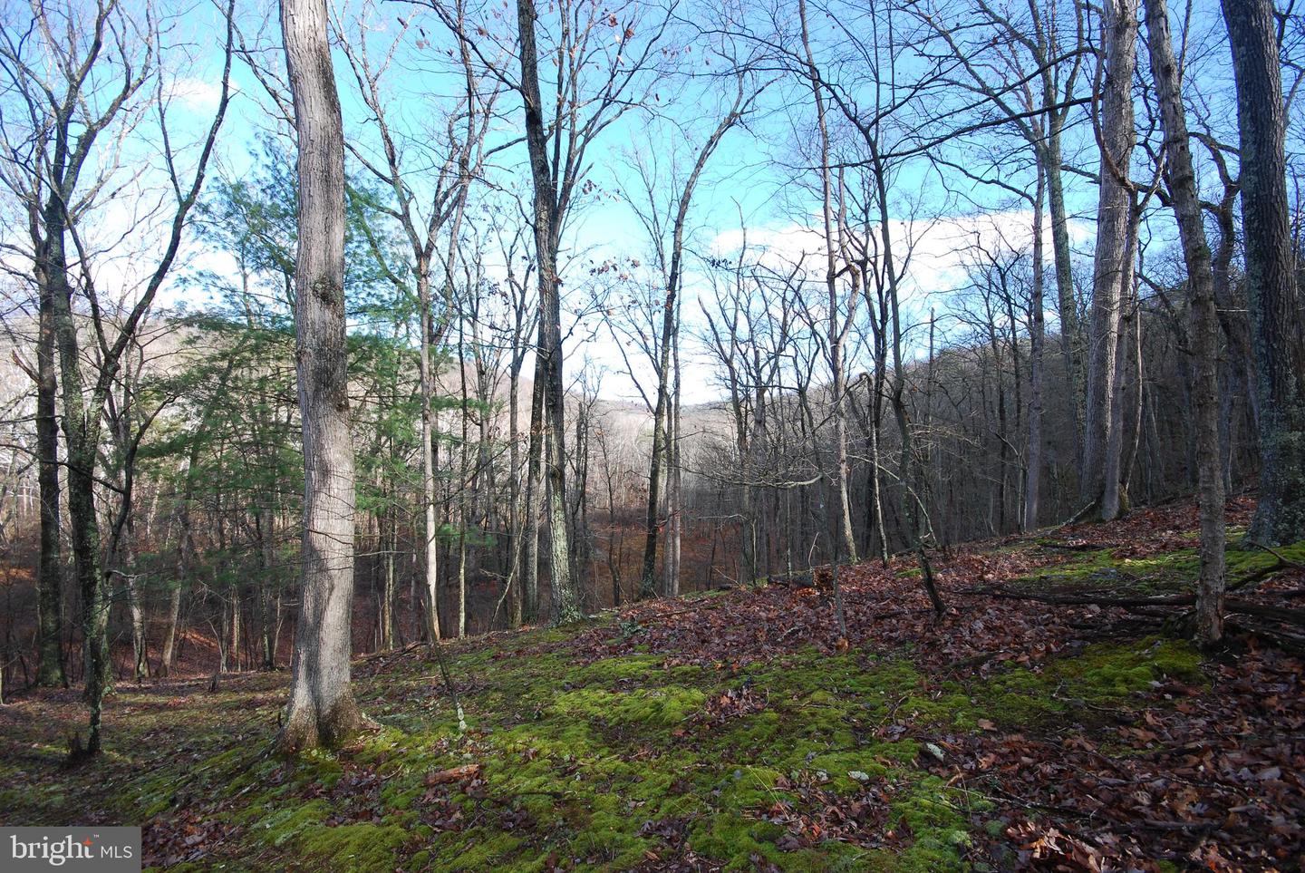 Lot 70 & 71 Mill Mountain Rd Property Photo 20