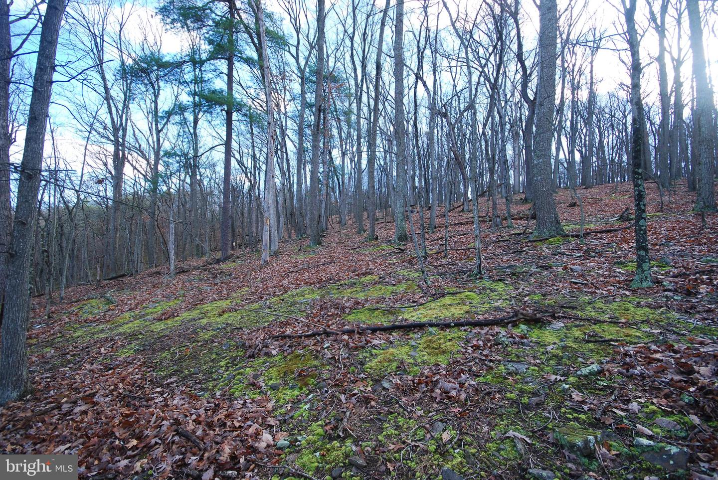 Lot 70 & 71 Mill Mountain Rd Property Photo 21