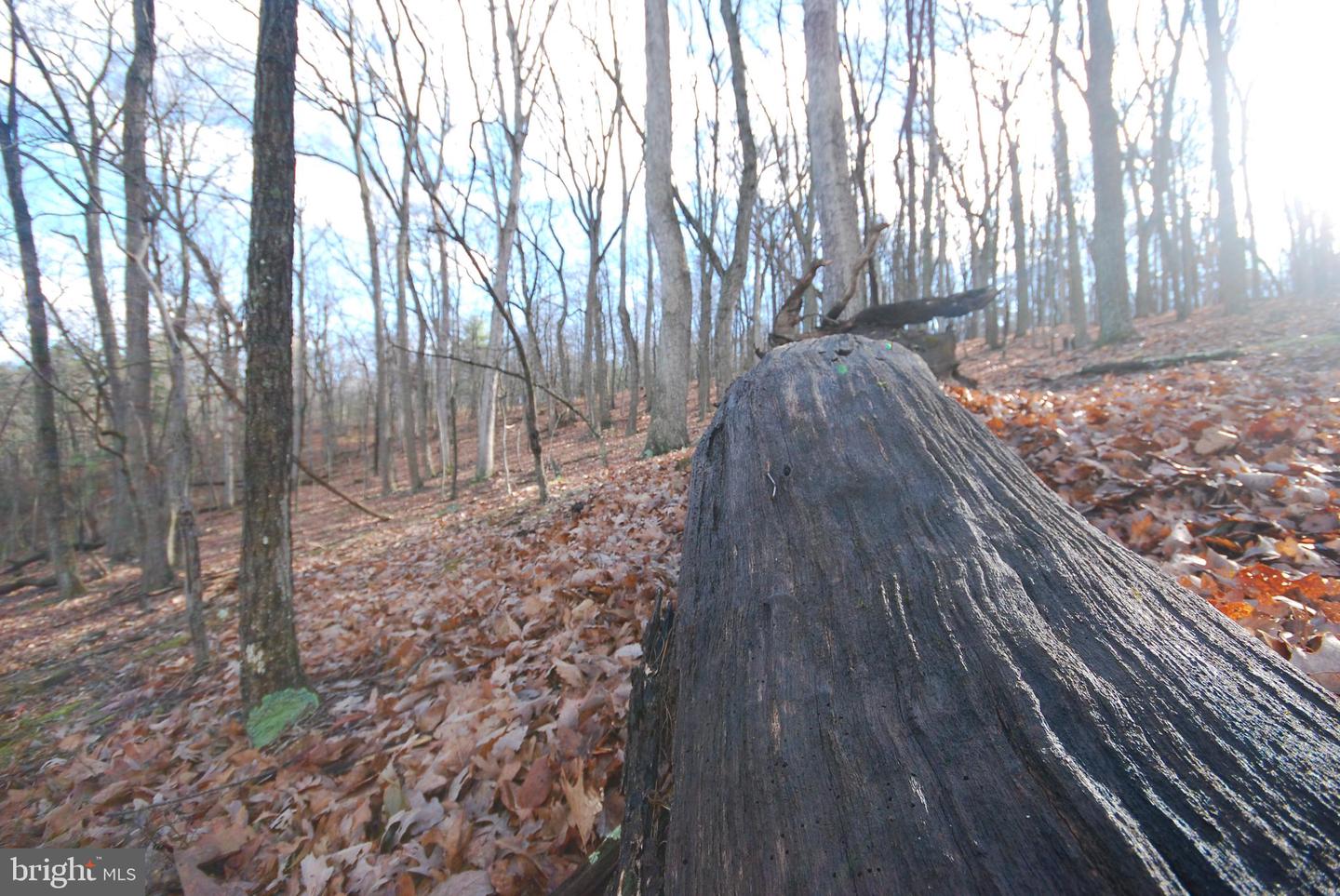 Lot 70 & 71 Mill Mountain Rd Property Photo 23