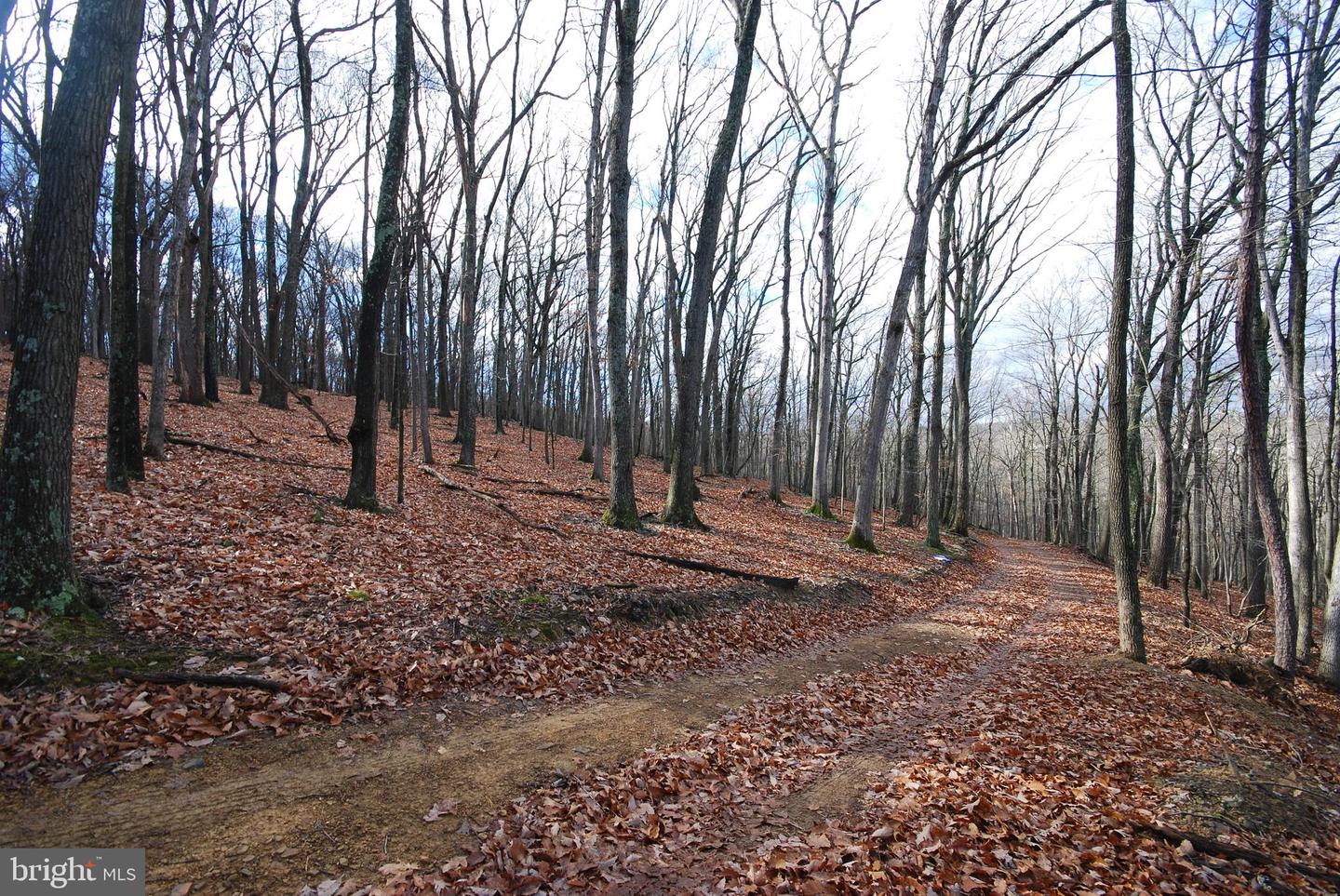 Lot 70 & 71 Mill Mountain Rd Property Photo 24