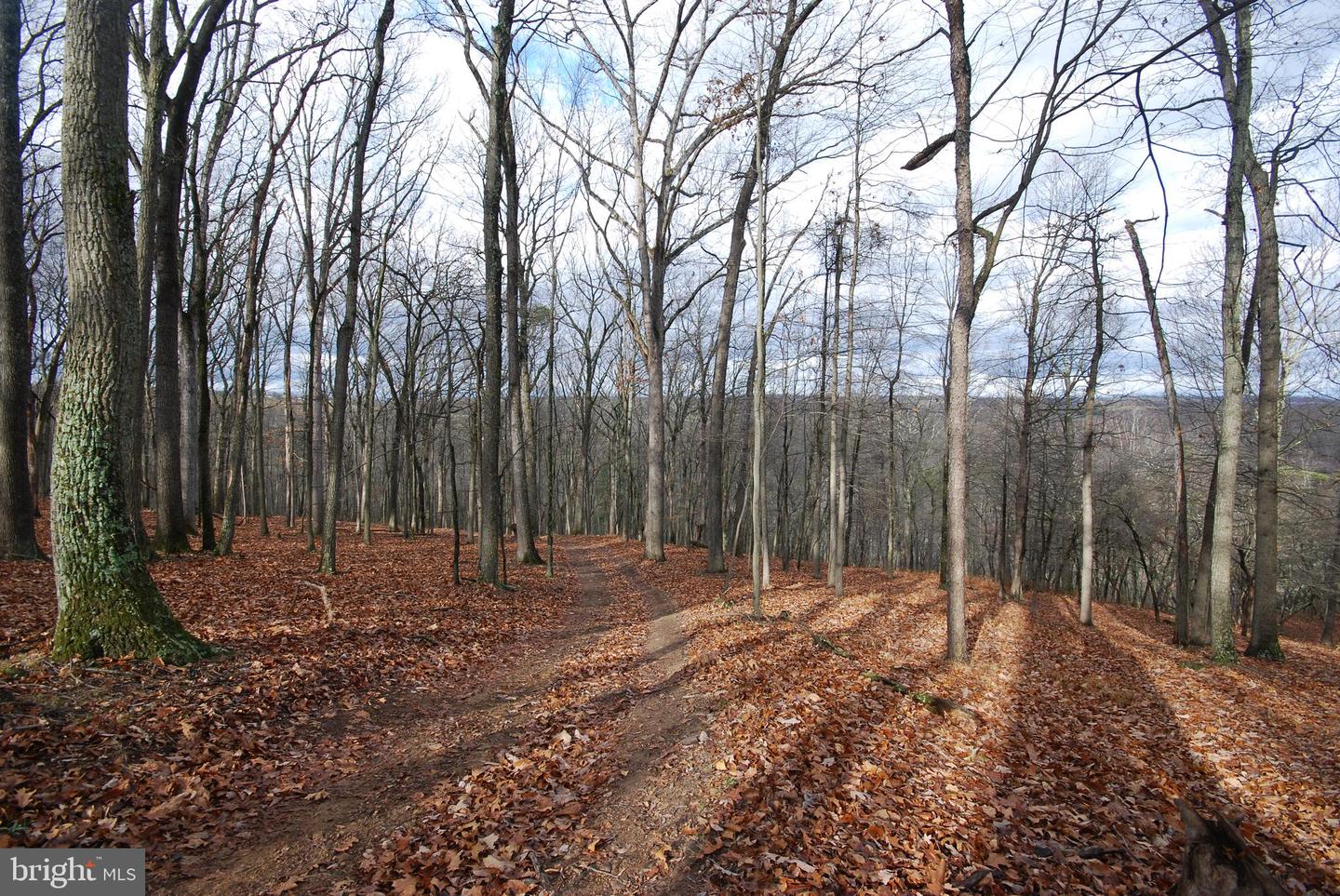 Lot 70 & 71 Mill Mountain Rd Property Photo 25