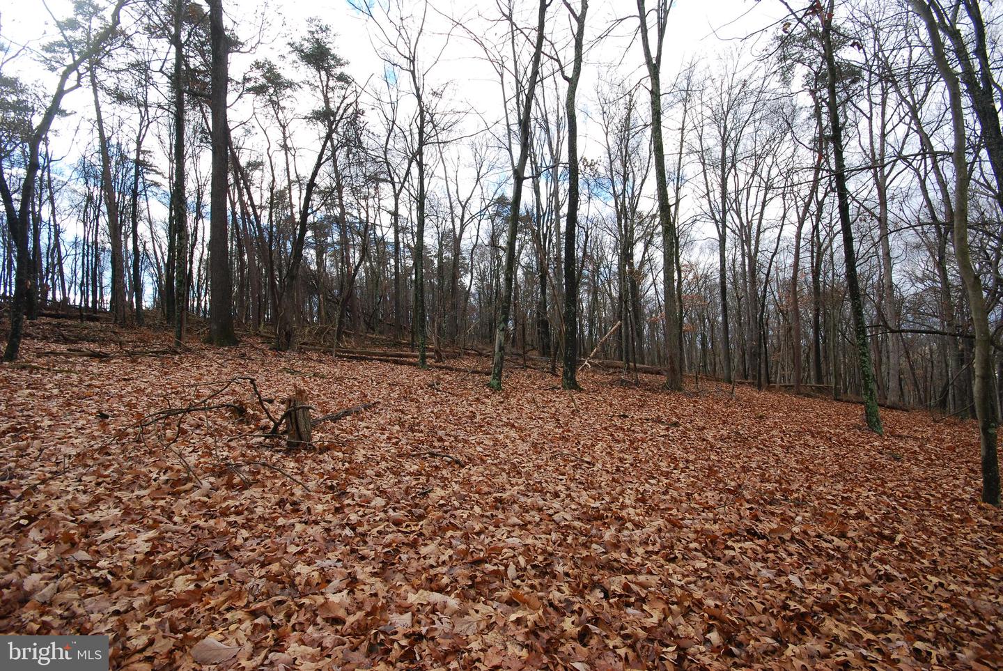 Lot 70 & 71 Mill Mountain Rd Property Photo 26