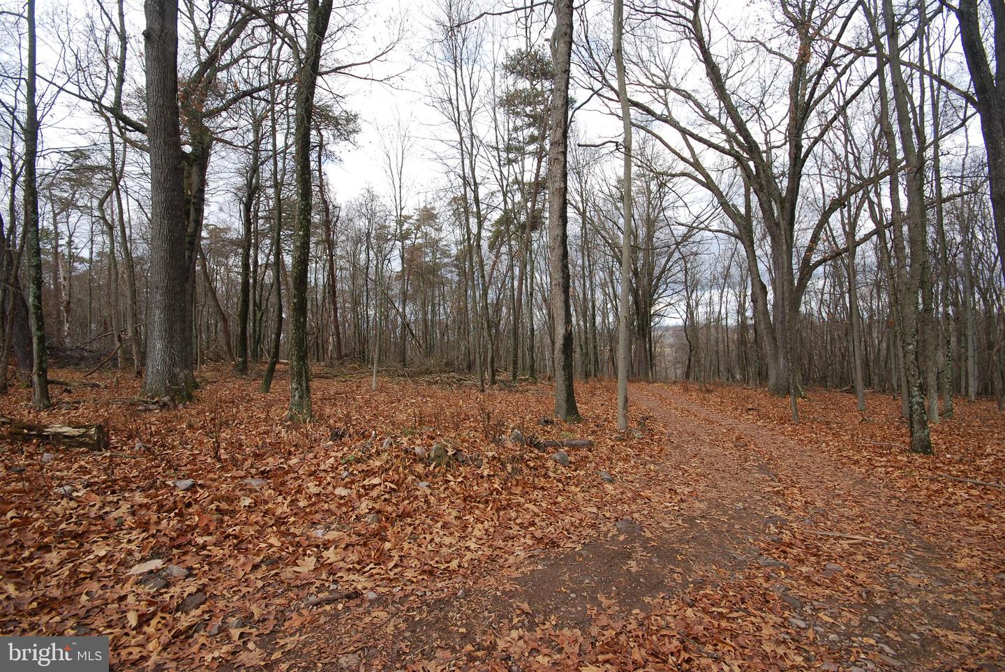 Lot 70 & 71 Mill Mountain Rd Property Photo 27