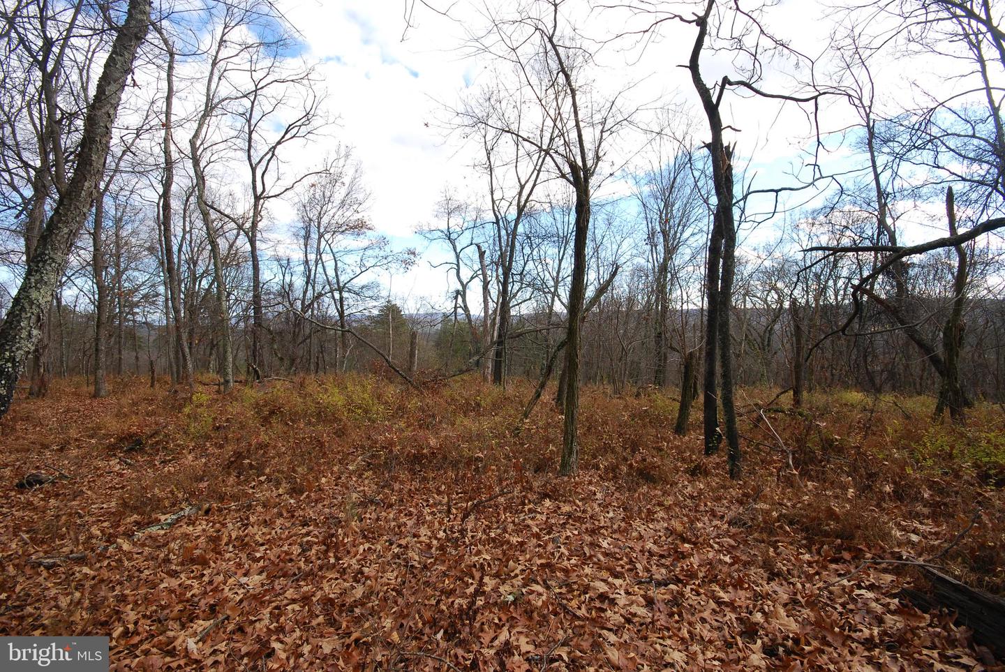 Lot 70 & 71 Mill Mountain Rd Property Photo 28