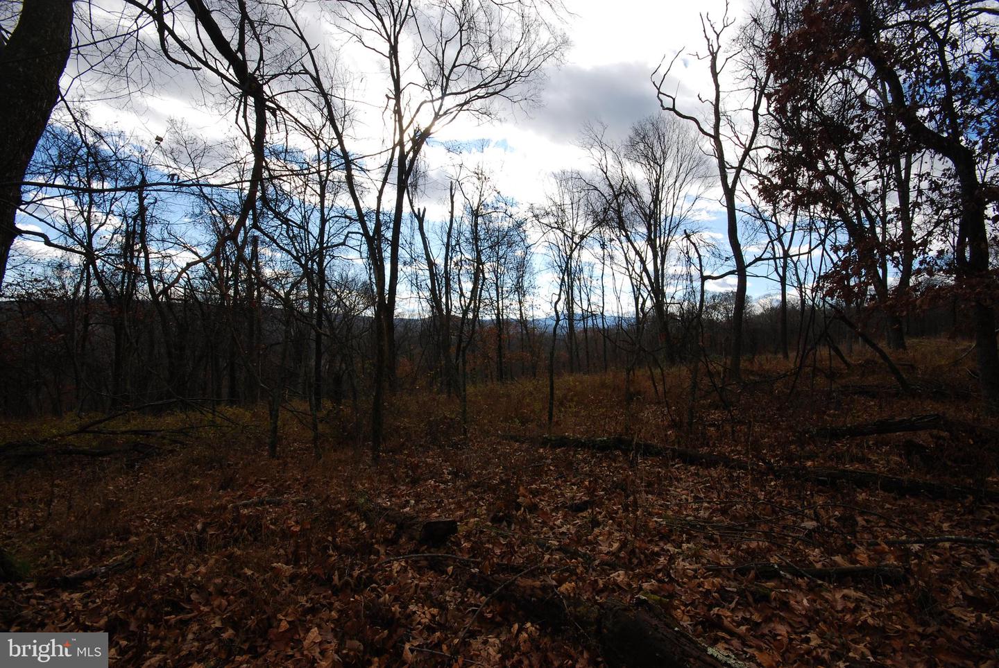 Lot 70 & 71 Mill Mountain Rd Property Photo 29
