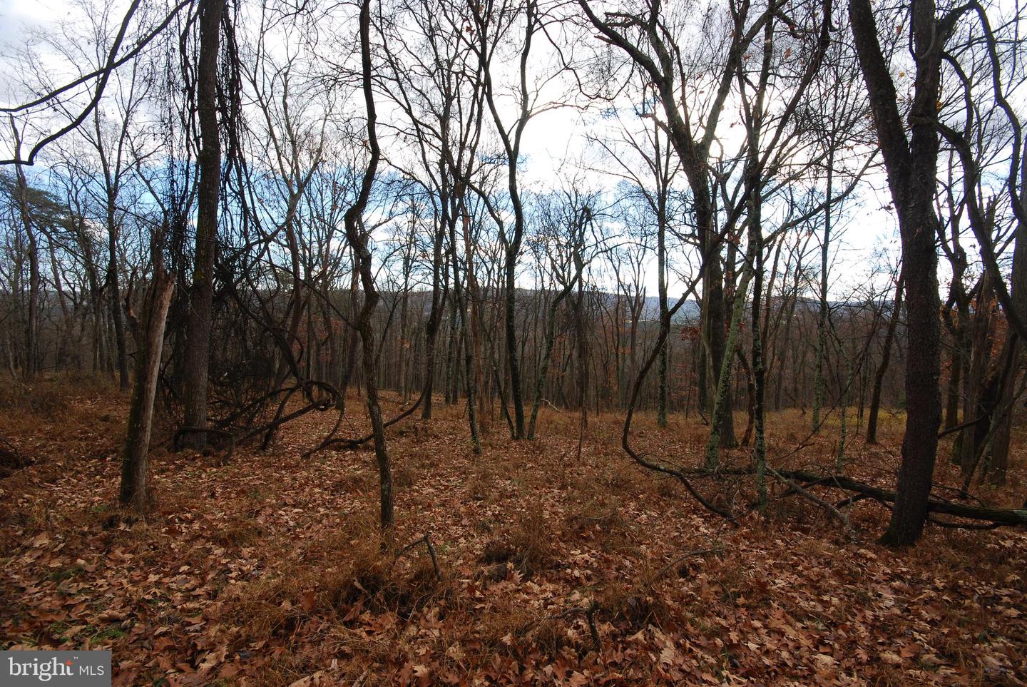 Lot 70 & 71 Mill Mountain Rd Property Photo 30