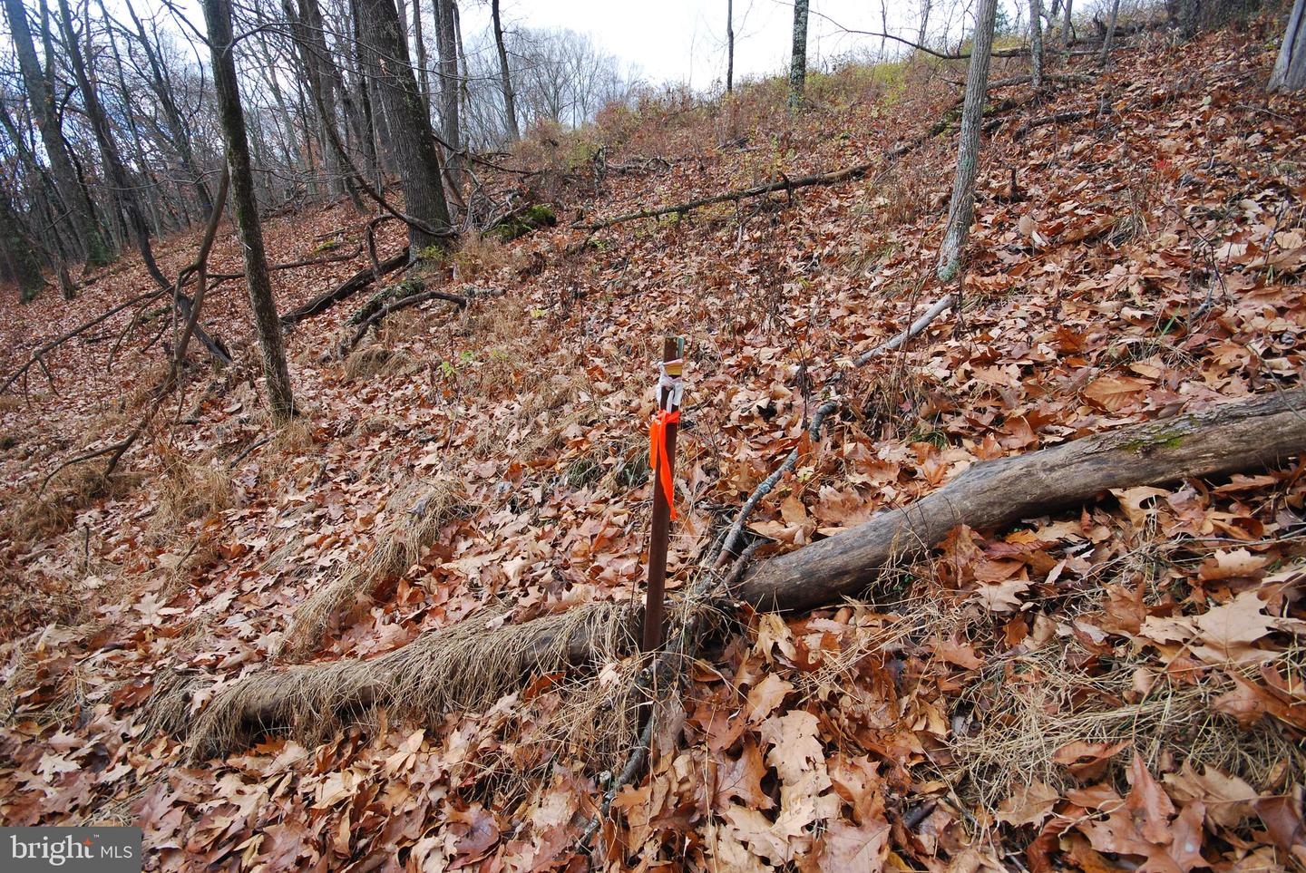Lot 70 & 71 Mill Mountain Rd Property Photo 31