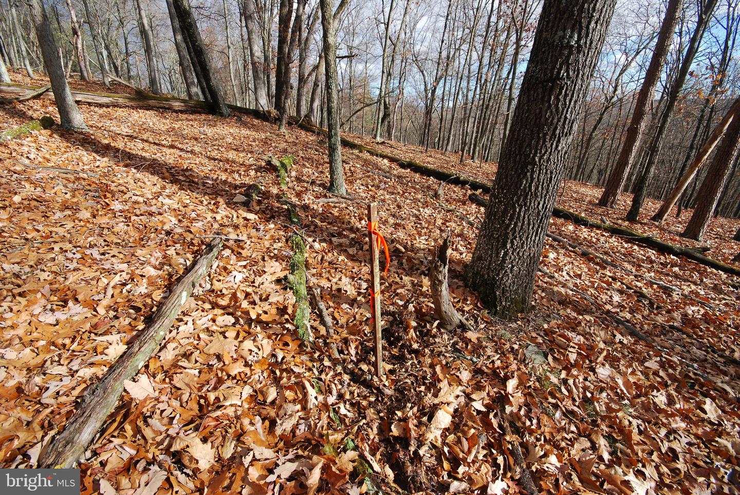 Lot 70 & 71 Mill Mountain Rd Property Photo 32