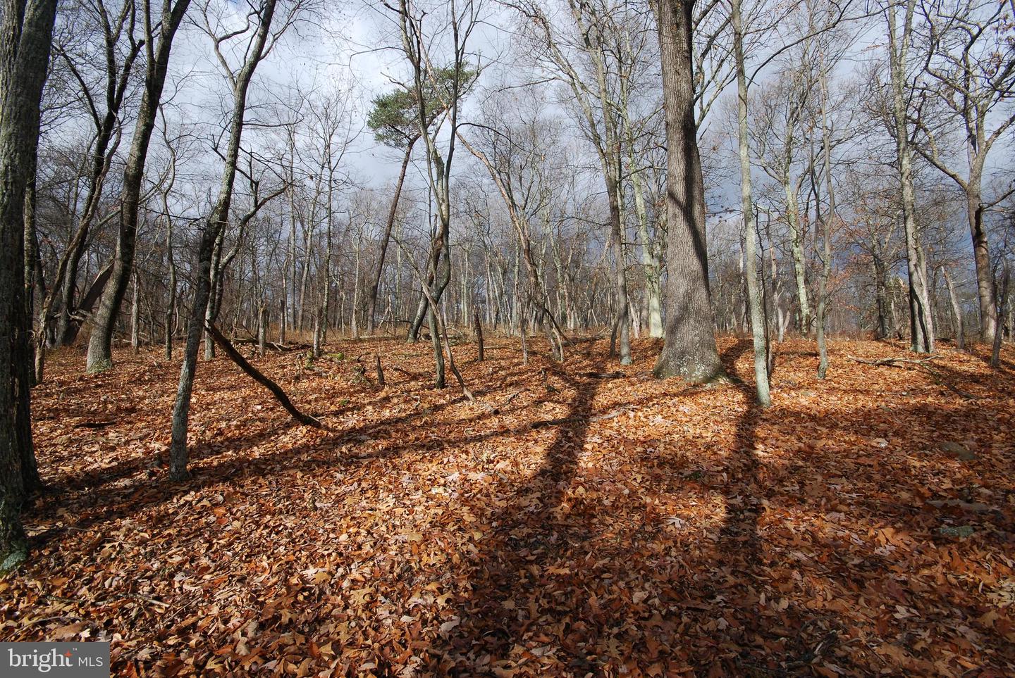 Lot 70 & 71 Mill Mountain Rd Property Photo 33