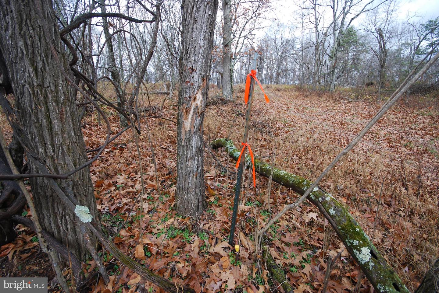 Lot 70 & 71 Mill Mountain Rd Property Photo 34