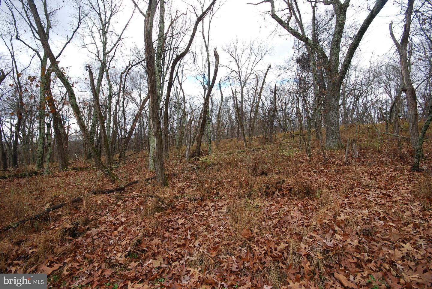 Lot 70 & 71 Mill Mountain Rd Property Photo 35