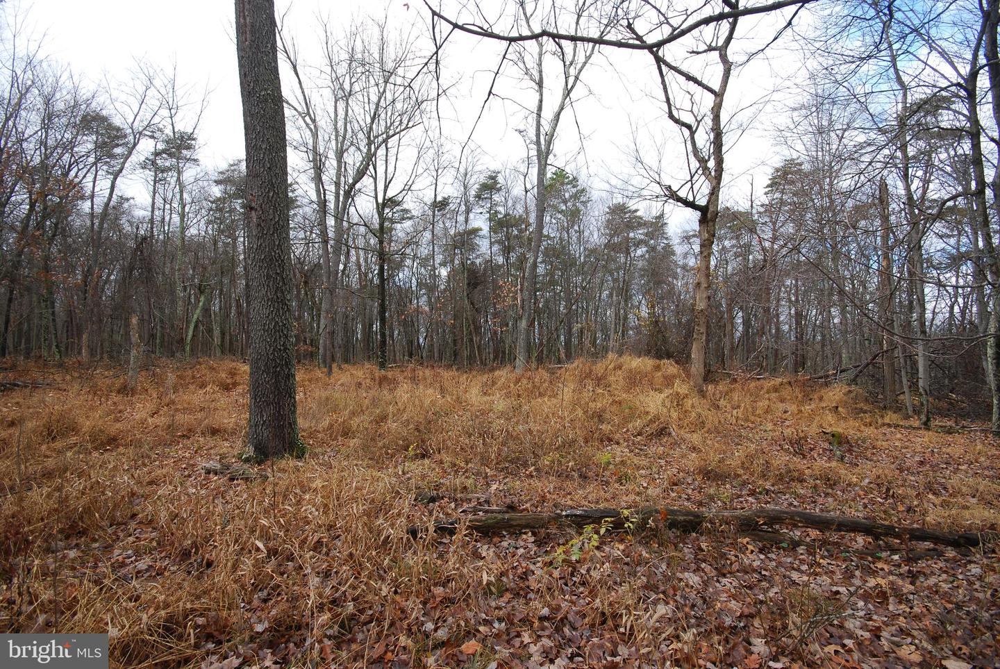 Lot 70 & 71 Mill Mountain Rd Property Photo 36