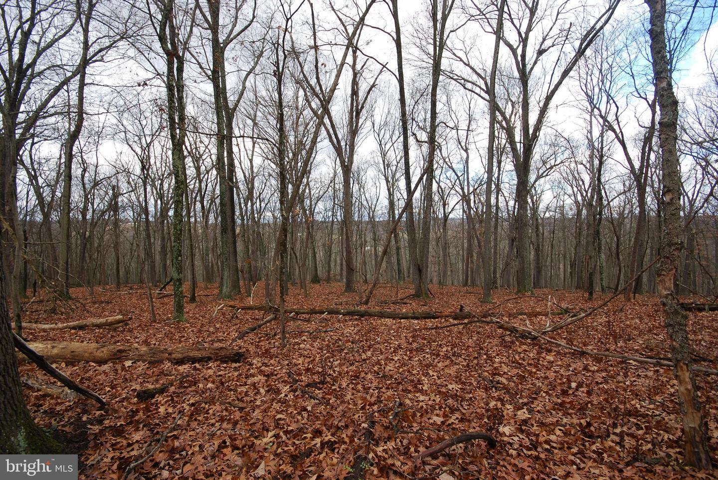Lot 70 & 71 Mill Mountain Rd Property Photo 37