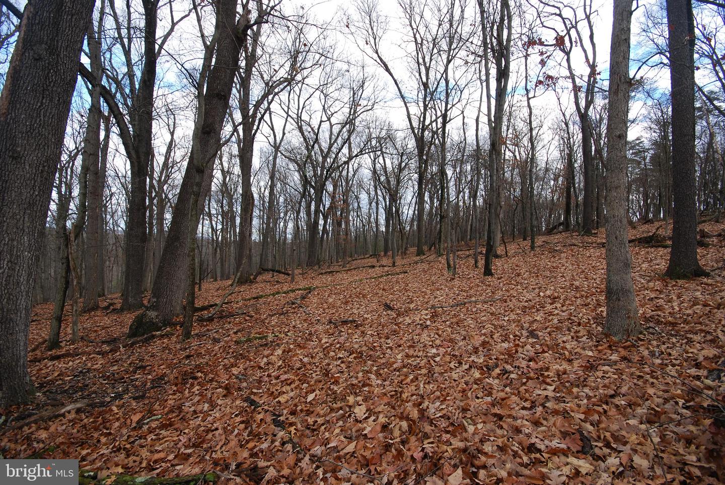 Lot 70 & 71 Mill Mountain Rd Property Photo 38